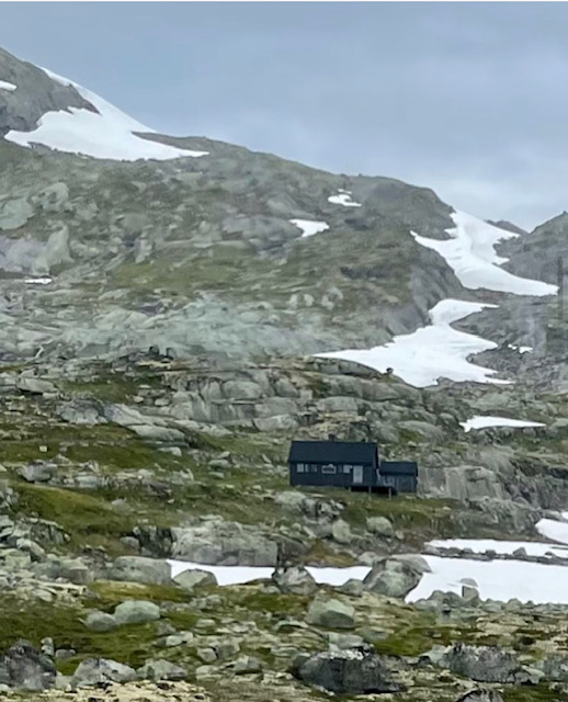 Línea de los árboles